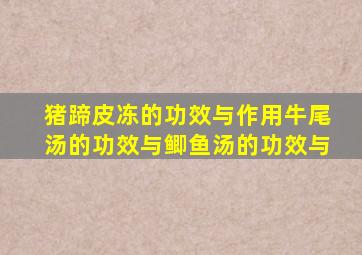 猪蹄皮冻的功效与作用牛尾汤的功效与鲫鱼汤的功效与