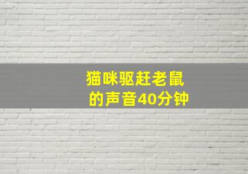 猫咪驱赶老鼠的声音40分钟