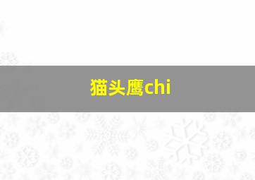 猫头鹰chi