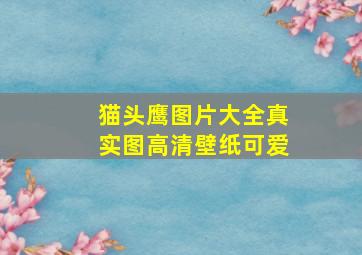 猫头鹰图片大全真实图高清壁纸可爱