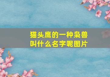 猫头鹰的一种枭兽叫什么名字呢图片