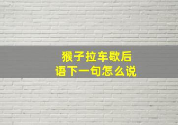 猴子拉车歇后语下一句怎么说