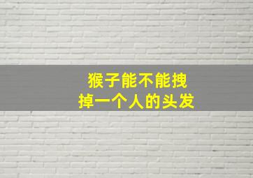 猴子能不能拽掉一个人的头发