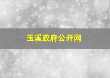 玉溪政府公开网