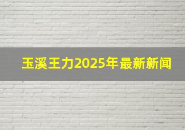 玉溪王力2025年最新新闻