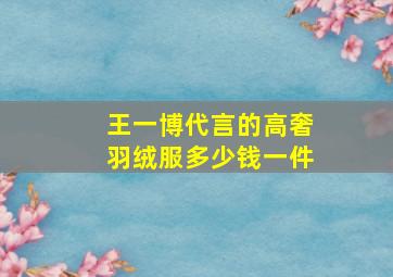 王一博代言的高奢羽绒服多少钱一件