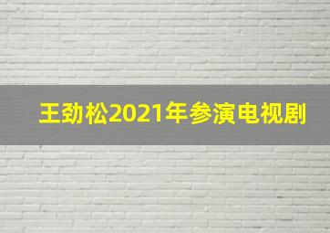 王劲松2021年参演电视剧