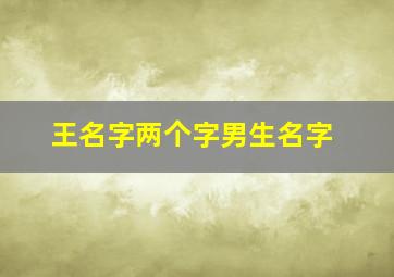 王名字两个字男生名字