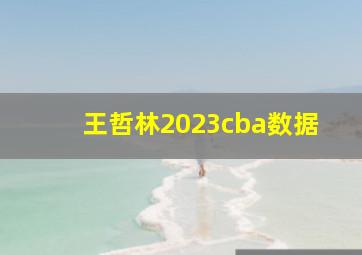 王哲林2023cba数据