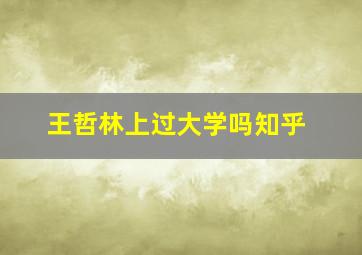 王哲林上过大学吗知乎