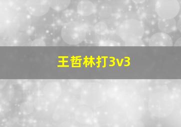 王哲林打3v3