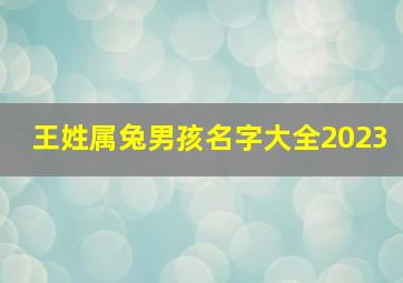 王姓属兔男孩名字大全2023