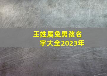 王姓属兔男孩名字大全2023年