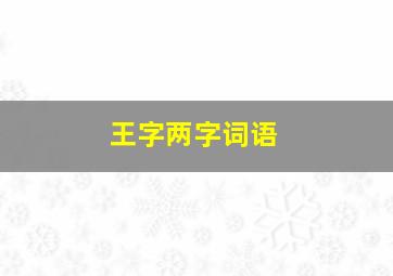 王字两字词语