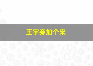 王字旁加个宋