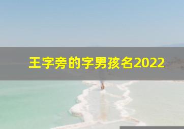 王字旁的字男孩名2022