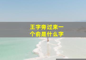 王字旁过来一个俞是什么字