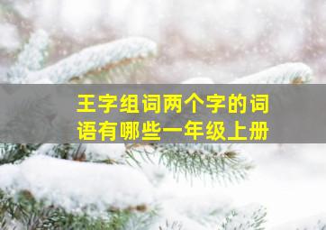 王字组词两个字的词语有哪些一年级上册