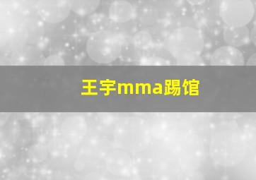 王宇mma踢馆