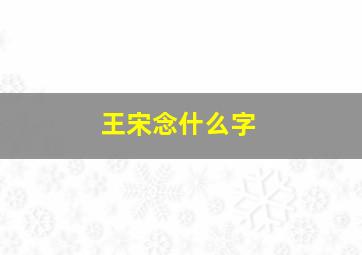 王宋念什么字