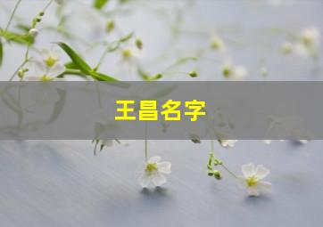 王昌名字