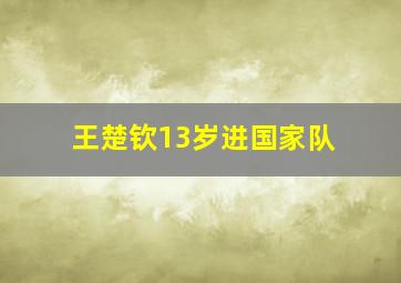 王楚钦13岁进国家队