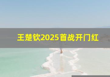 王楚钦2025首战开门红