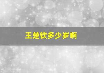 王楚钦多少岁啊