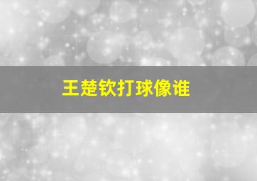 王楚钦打球像谁