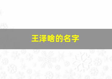 王泽啥的名字