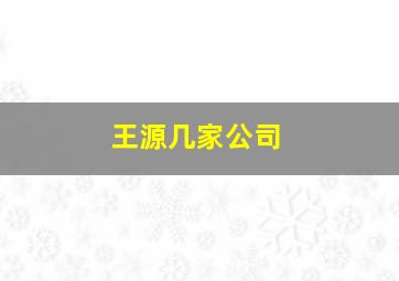 王源几家公司