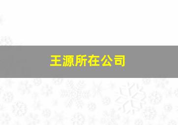 王源所在公司