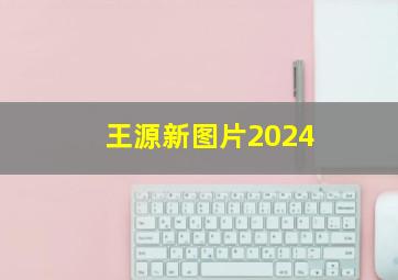 王源新图片2024