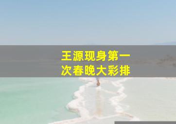 王源现身第一次春晚大彩排