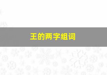 王的两字组词