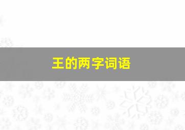 王的两字词语