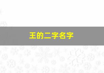 王的二字名字