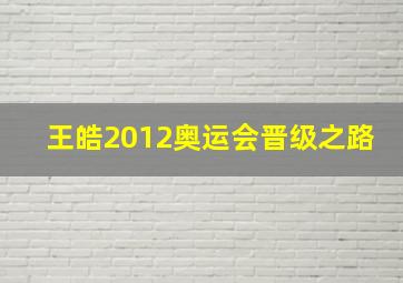 王皓2012奥运会晋级之路