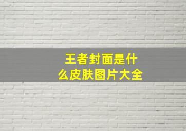 王者封面是什么皮肤图片大全