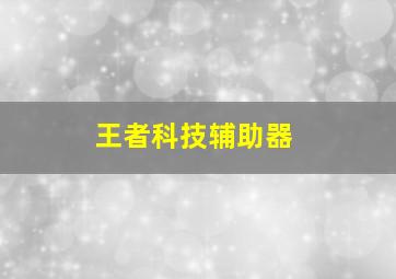 王者科技辅助器