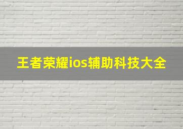 王者荣耀ios辅助科技大全