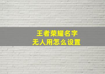 王者荣耀名字无人用怎么设置