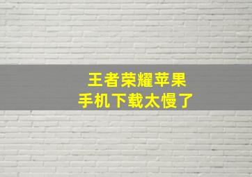 王者荣耀苹果手机下载太慢了