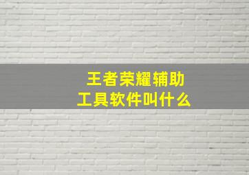 王者荣耀辅助工具软件叫什么