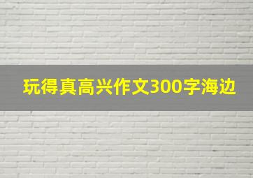 玩得真高兴作文300字海边