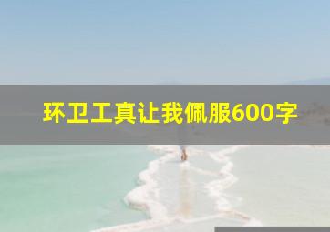 环卫工真让我佩服600字