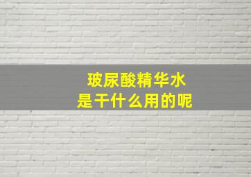 玻尿酸精华水是干什么用的呢