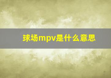 球场mpv是什么意思