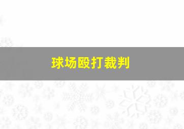 球场殴打裁判