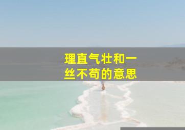 理直气壮和一丝不苟的意思